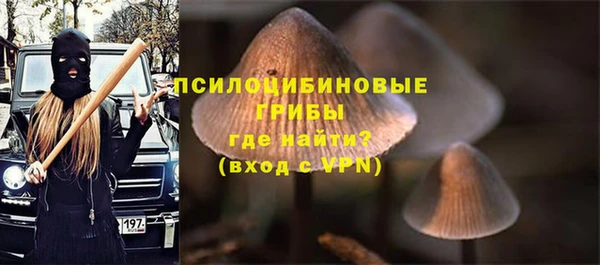 прущие грибы Кулебаки