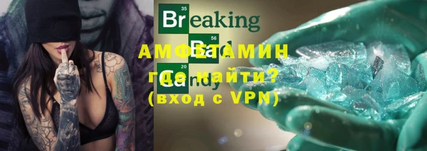 сатива Куйбышев