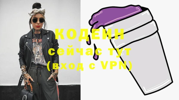 прущие грибы Кулебаки
