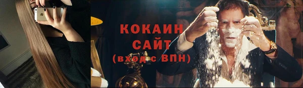 прущие грибы Кулебаки