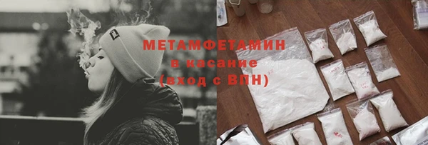 прущие грибы Кулебаки