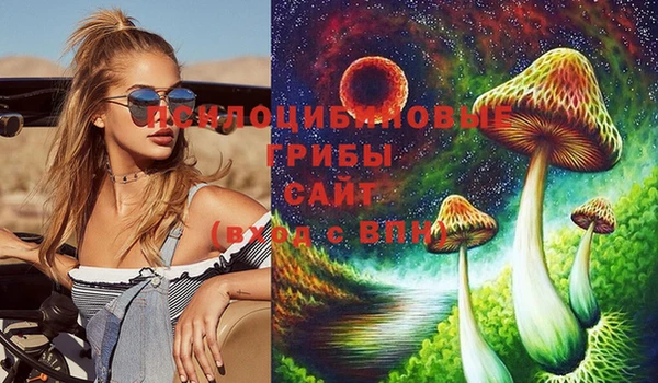 прущие грибы Кулебаки