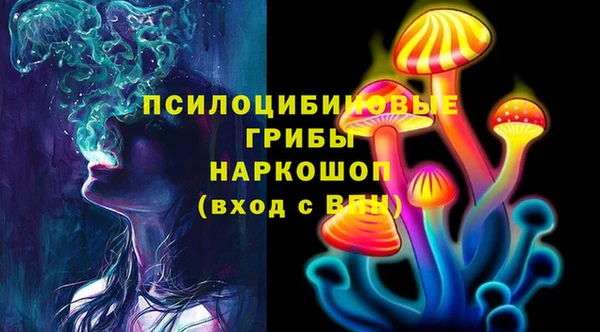 сатива Куйбышев