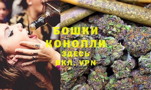 сатива Куйбышев