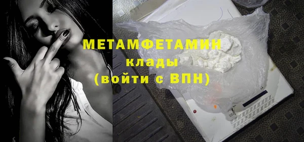 прущие грибы Кулебаки