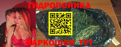 крисы Сланцы