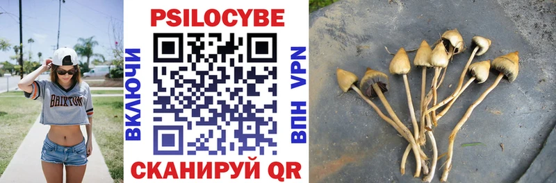 купить наркоту  Нововоронеж  Галлюциногенные грибы GOLDEN TEACHER 