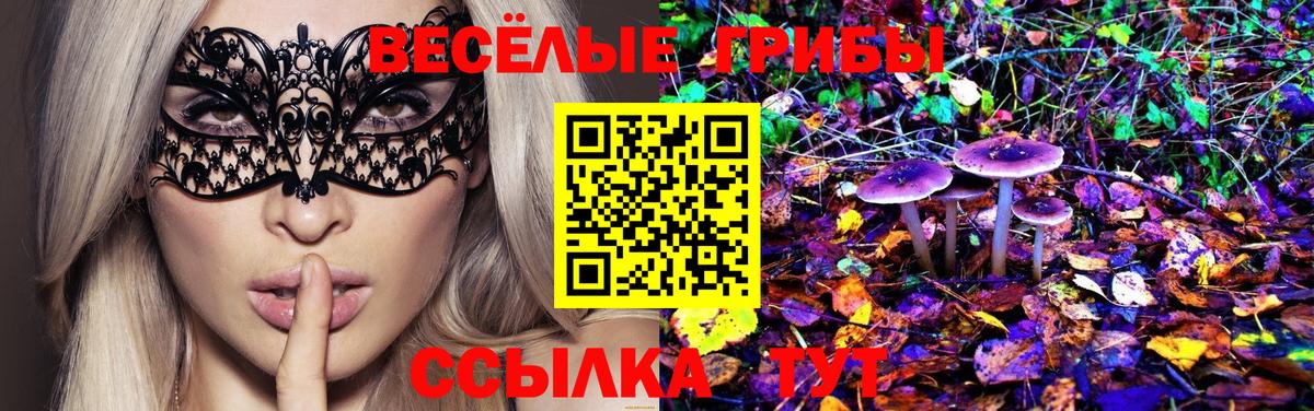 Галлюциногенные грибы GOLDEN TEACHER Нововоронеж